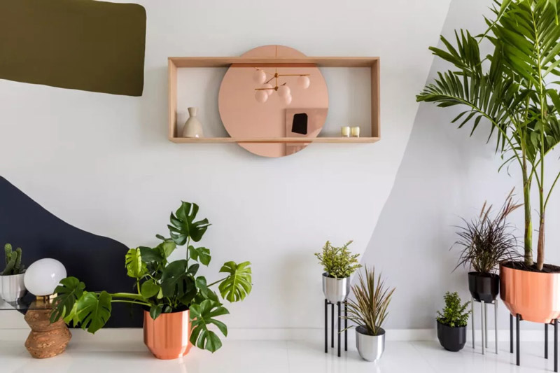 关于室内陈设的技术探讨