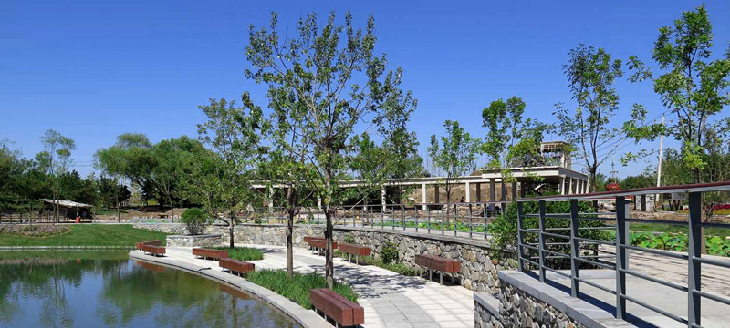 节能型技术在风景园林施工中的应用